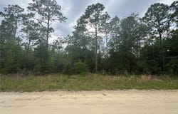 Tbd SW 159 COURT, OCALA, FL 34481