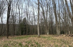 Stromeyers Road, Knox, PA 16232