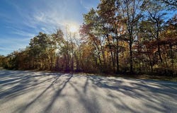 Lilly Ave., Houston, MO 65483
