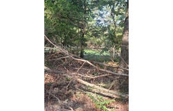 1.37 Acre E Adams Street, Lincoln, AR 72744