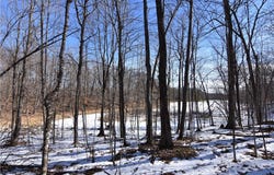 0 290th Avenue, New Auburn, WI 54757