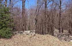 Parcel C Honey Hollow Road, Bellaire, MI 49615