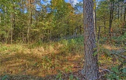 Melvin Ln. lot: 6, Dover, AR 72837