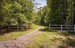 TM33-22,22a,b&c PINE TREE RD lot: 22, 22A, 22B & 22C, RHOADESVILLE, VA 22542