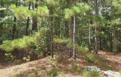 9999 County Road 2140, Quitman, TX 75783