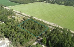 5505 MELANIE STREET, HASTINGS, FL 32145