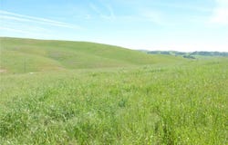 Douglas Rd. (Lot 33), San Miguel, CA 93451