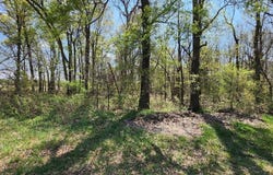 0 S County Road 268, Neelyville, MO 63954