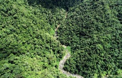 Finca Collores, Barrio Mameyes Abajo, Utuado, 00650