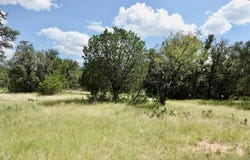 129 S FM 573, Mullin, TX 76864