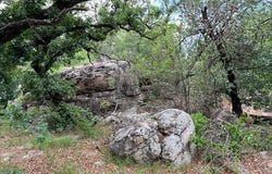 Tbd 10.02 Acres County Road 164, Eastland, TX 76448