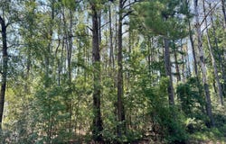 387 Founders Oak Way, Yemassee, SC 29945
