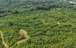 139 Acres County Road 87, Vina, AL 35593
