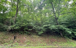Ash Branch Circle, Hayesville, NC 28904