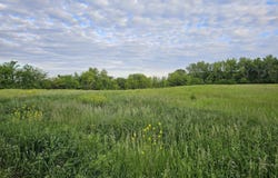 32nd Street, Grinnell, IA 50112