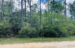 Chaco Circle, Alford, FL 32420