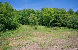 1718 Doe Brook Rd, Hamden, NY 13782