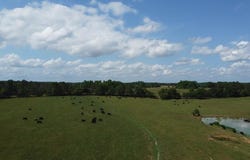 County Road 661, Samson, AL 36477