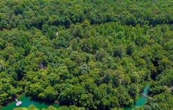 SIPSEY OVERLOOK Rd lot: 109, Double Springs, AL 35553