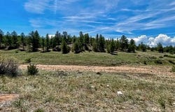7080 Copper Gulch Rd, Cotopaxi, CO 81223