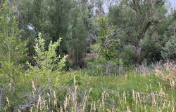 Barry Court, Colorado City, CO 81019