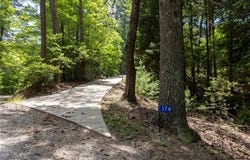 174 Chestnut Ridge, Blue Ridge, GA 30513