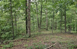 5.3 Acres Gravel Ln, Lexington, VA 24450