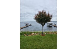 1946 Lake Street E, Osakis, MN 56360
