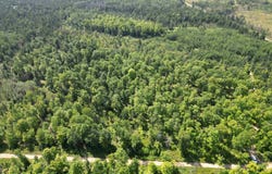 TBD CR 557, Perronville, MI 49873