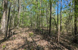 HWY 145, Saltillo, MS 38866