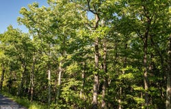 ARCHWOOD Trail lot: 342, WINCHESTER, VA 22602