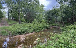 3968 HWY 167, Ash Flat, AR 72513