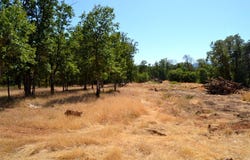779 Harris Road, Grants Pass, OR 97526
