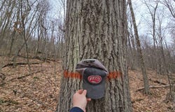 305 Clark Rd Rear, Sanford, NY 13754