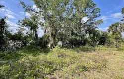 5000 Blounts Ridge Road, Mims, FL 32754