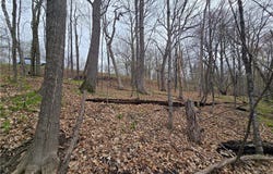Xxx Niles Lane, Centuria, WI 54824