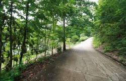 6625 Cape Haven Drive, Harrison, TN 37341