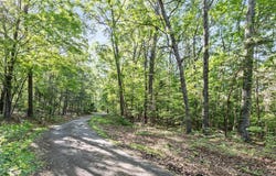 MOUNTAIN LAUREL DR, MOUNT JACKSON, VA 22842