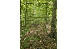 000 Hites Creek, Middleburg, KY 42541