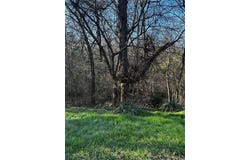 236,237 STONE CIRCLE Drive, Gordonville, TX 76245