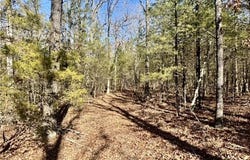 Zachary Trail, Rudy, AR 72952
