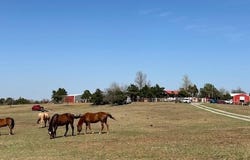 20000 State Highway 37, Hinton, OK 73047
