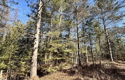 TBD N 8th, Manistique, MI 49854