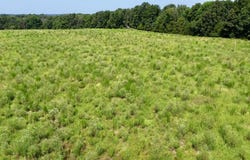 Pleasant Ridge Rd, BIG SANDY, TN 38221