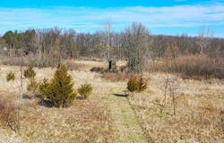 7160  Beecher Rd, Osseo, MI 49266