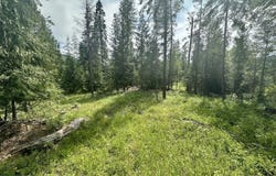 XXXX CEDAR CREEK ROAD, COLVILLE, WA 99114