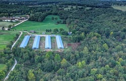 1989 Patton Lane, Harrison, AR 72601