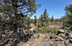 Blk 22 Lot 33 Thrush Road, Montague, CA 96064