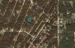 NE 3RD Place, Williston, FL 32696