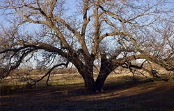 0000 Cement Mountain Road, Bryson, TX 76427